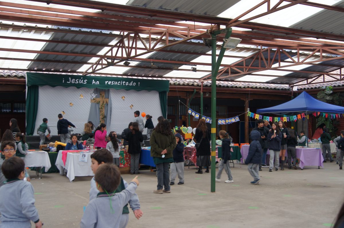 Feria del libro usado , Semana del libro