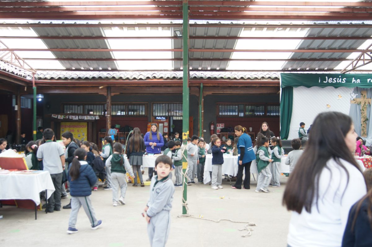 Feria del libro usado , Semana del libro