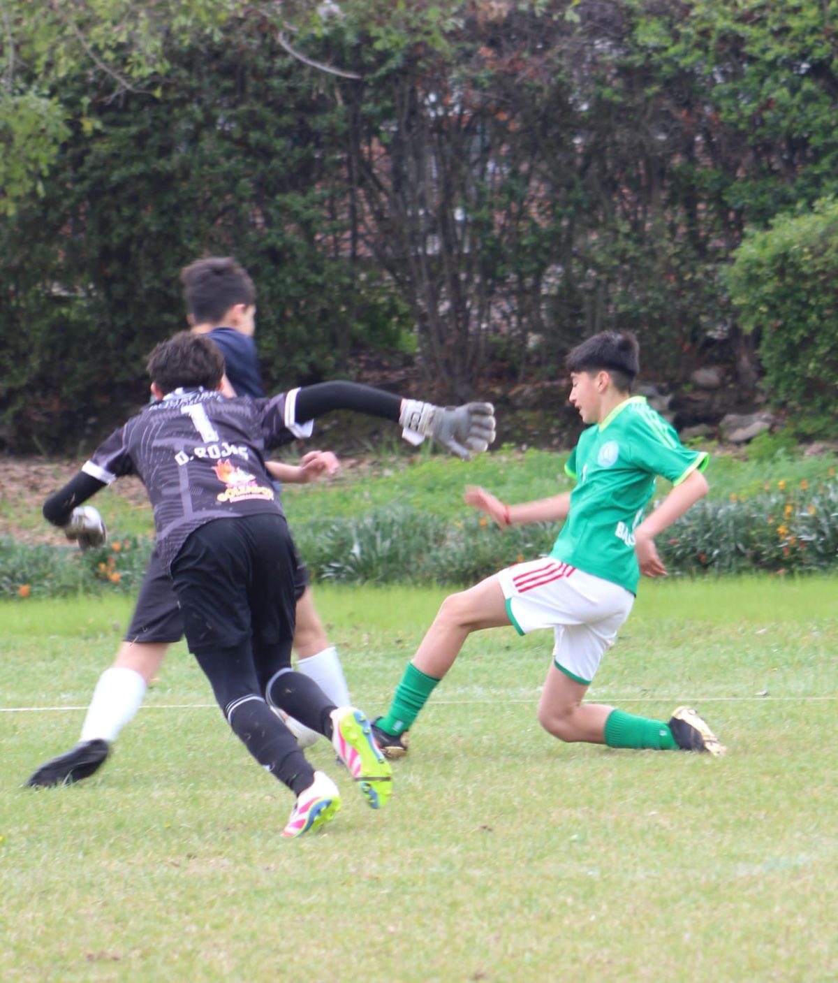 Campeonato de La Amistad SAB.