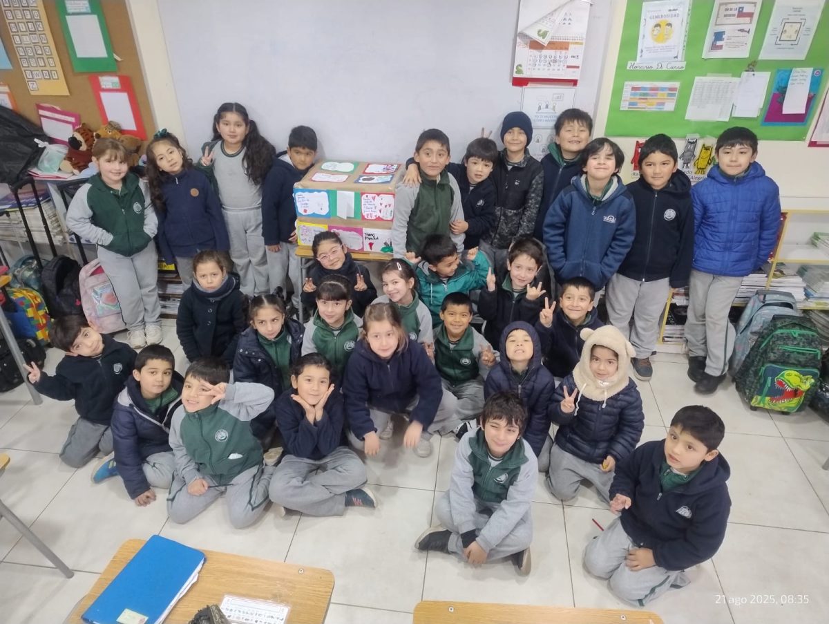 Solidaridad en práctica
