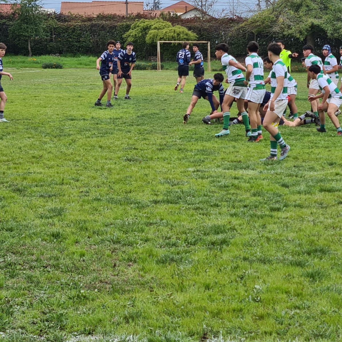 Rugby Águilas 31 de Agosto