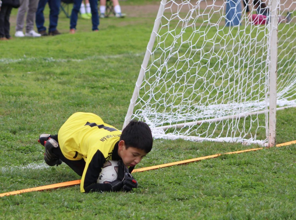Campeonato de La Amistad SAB.