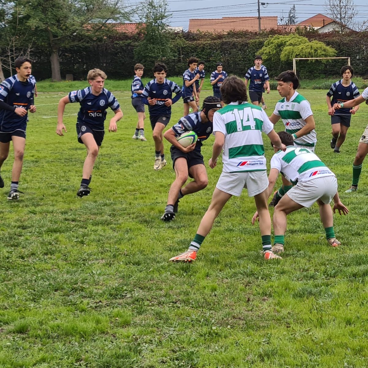 Rugby Águilas 31 de Agosto