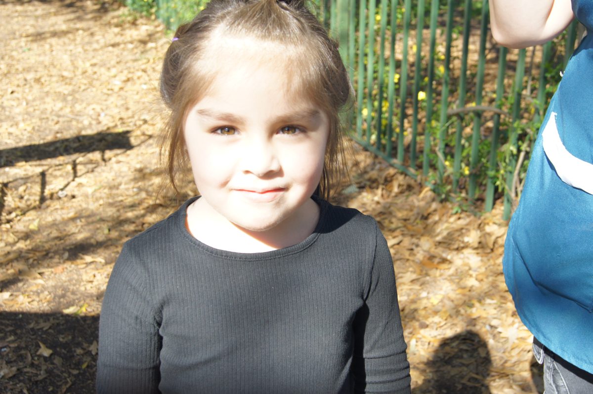 Celebración fiestas patrias