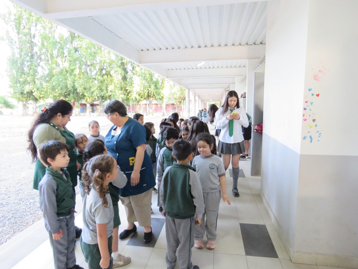 Despedida 4tos medios