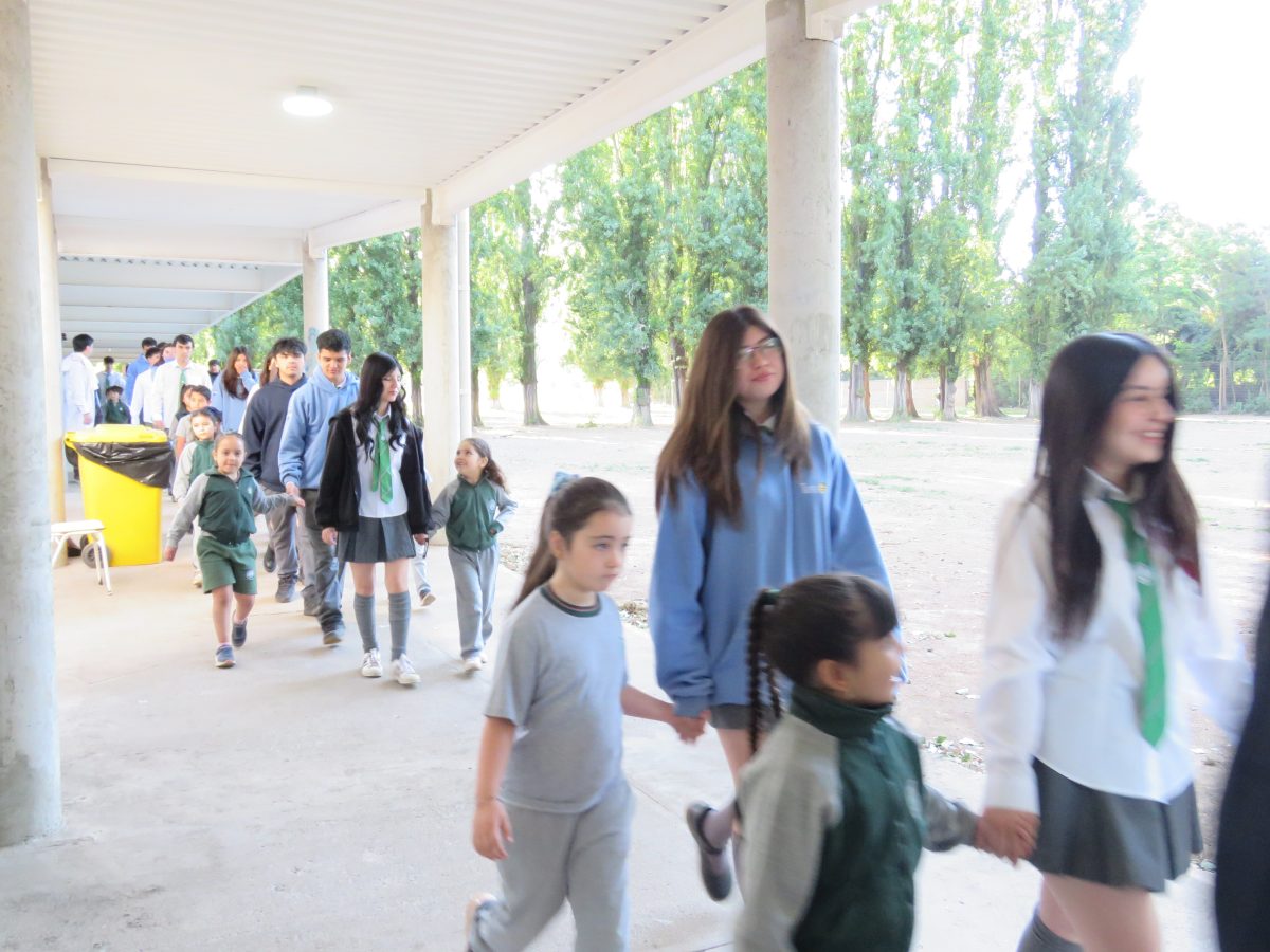 Despedida 4tos medios