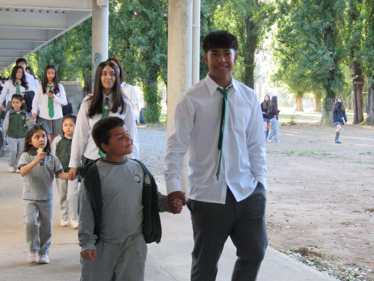 Despedida 4tos medios