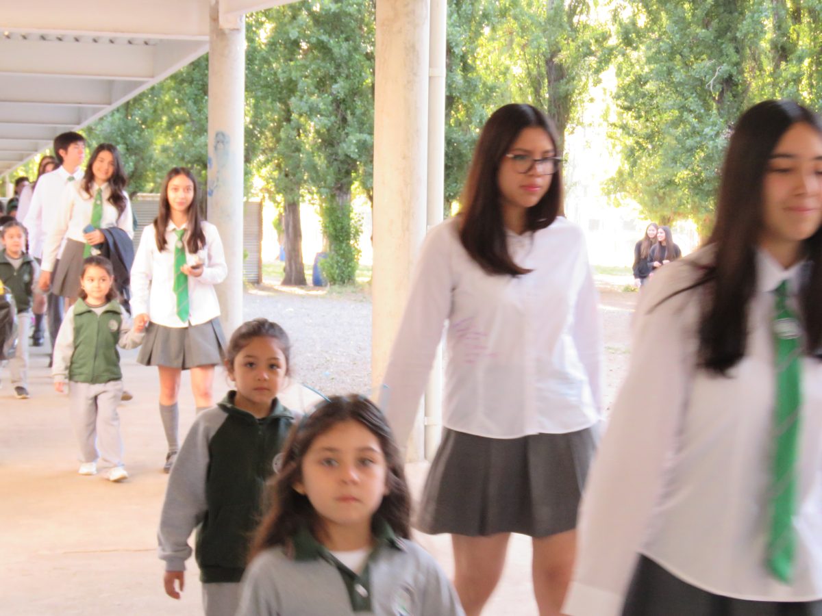 Despedida 4tos medios