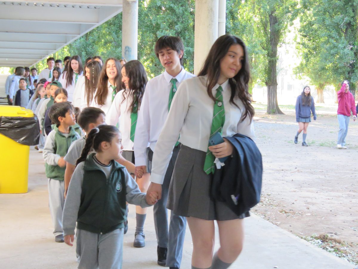 Despedida 4tos medios