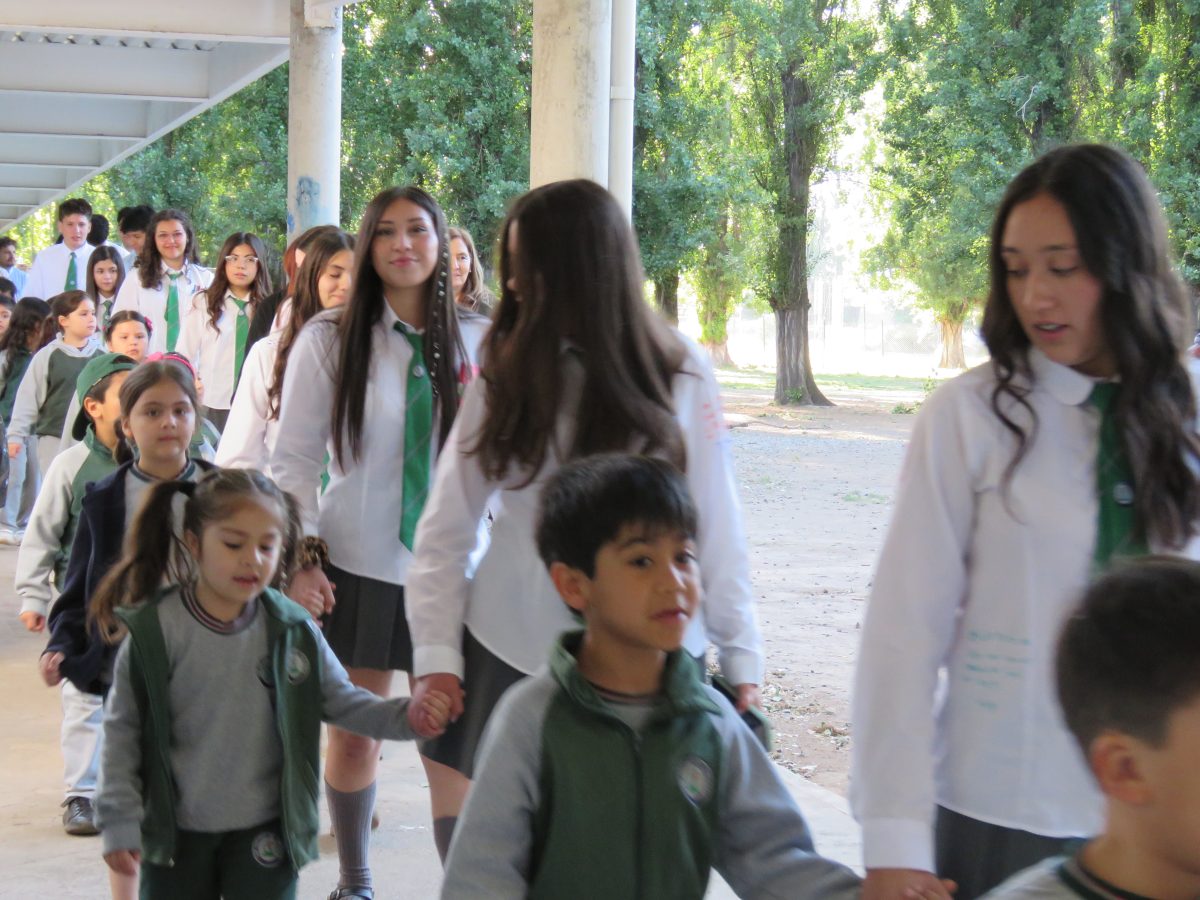 Despedida 4tos medios