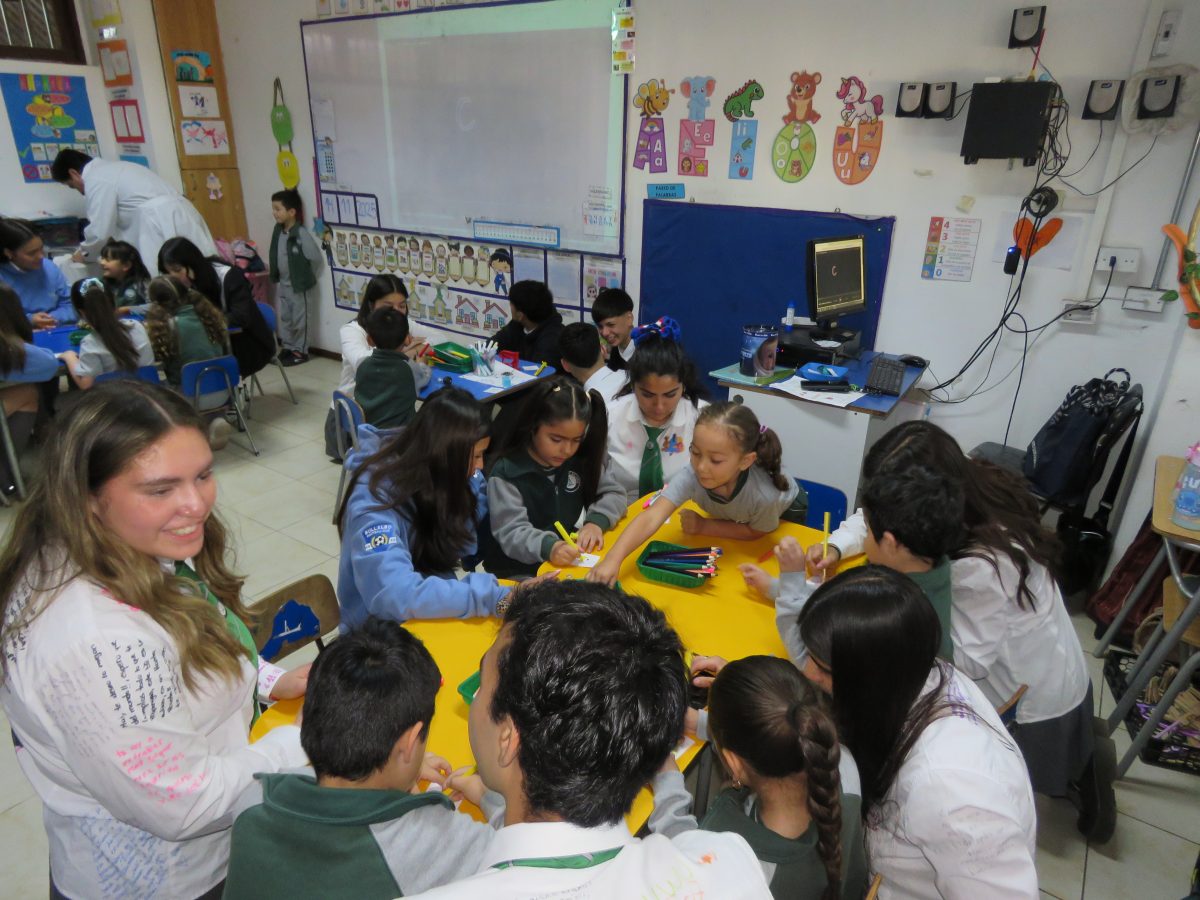 Despedida 4tos medios