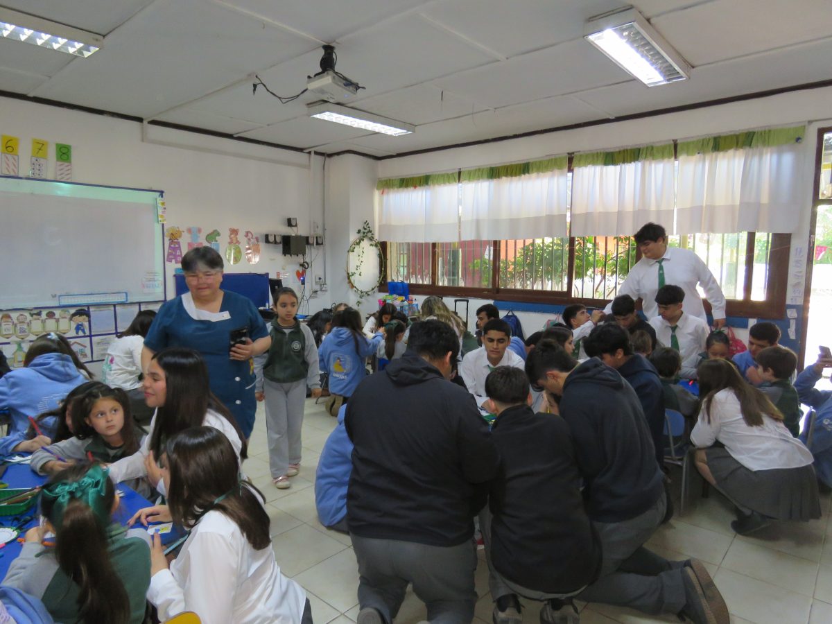 Despedida 4tos medios