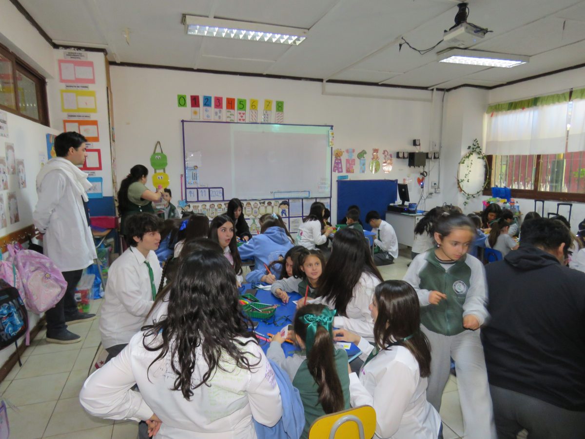 Despedida 4tos medios