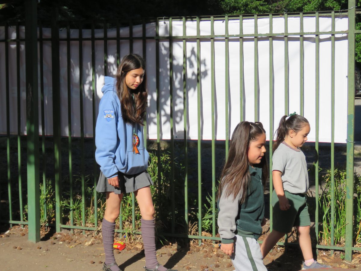 Despedida 4tos medios