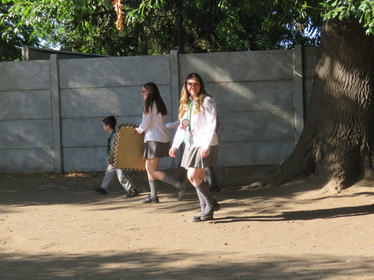 Despedida 4tos medios