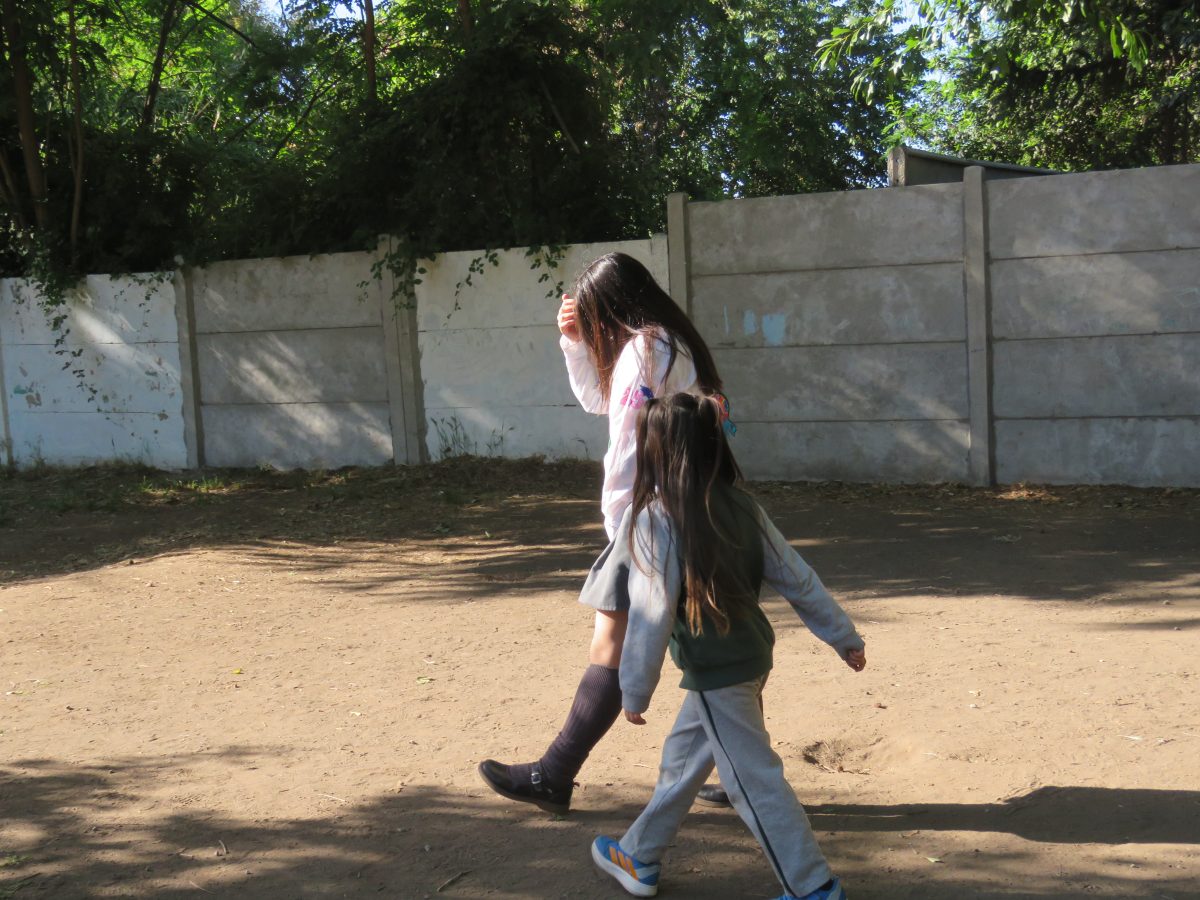 Despedida 4tos medios