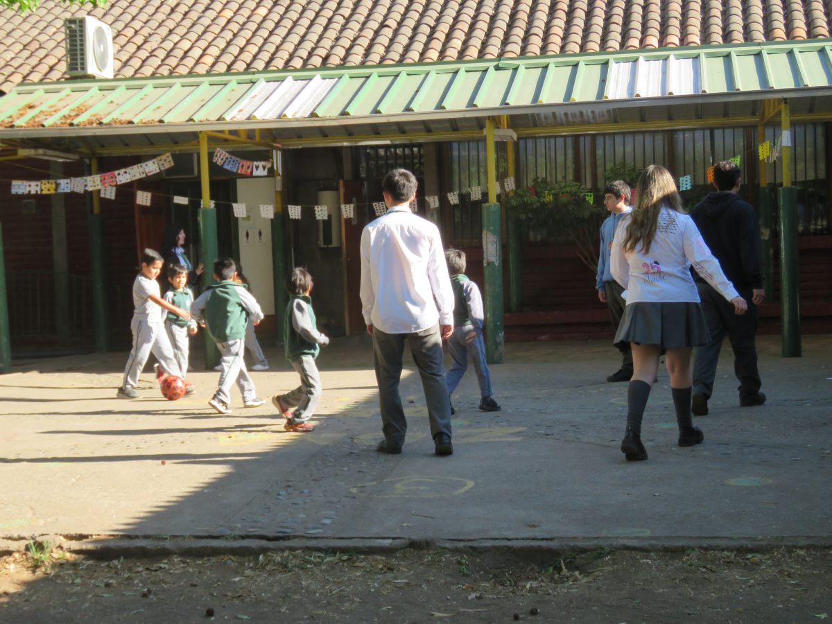 Despedida 4tos medios