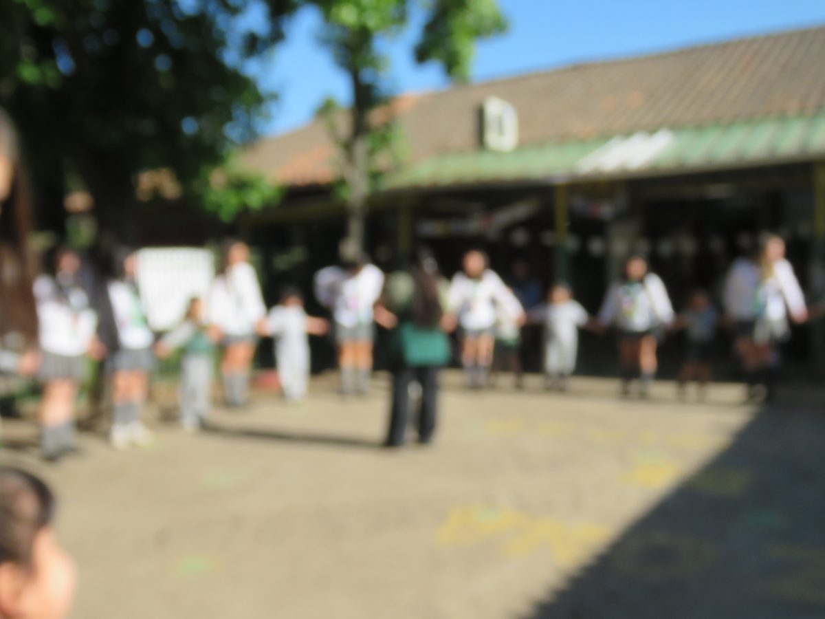 Despedida 4tos medios