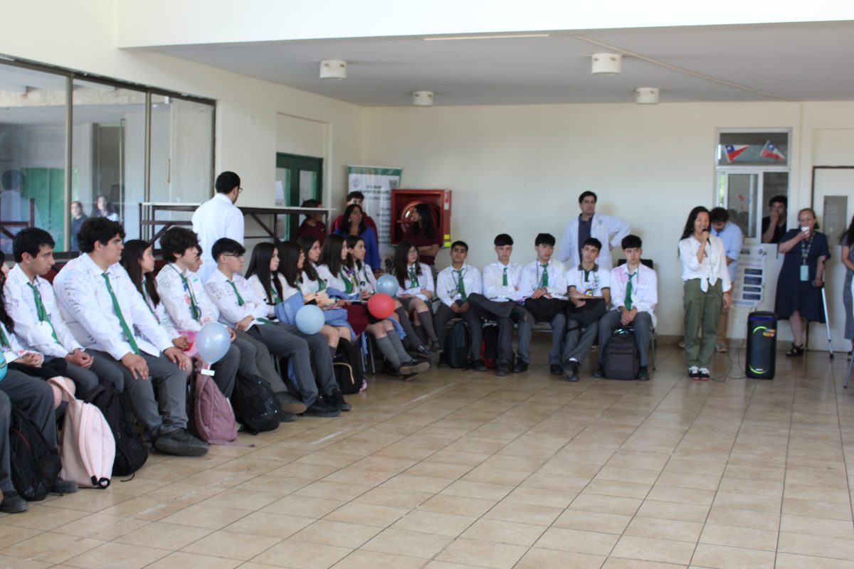 Despedida 4tos medios