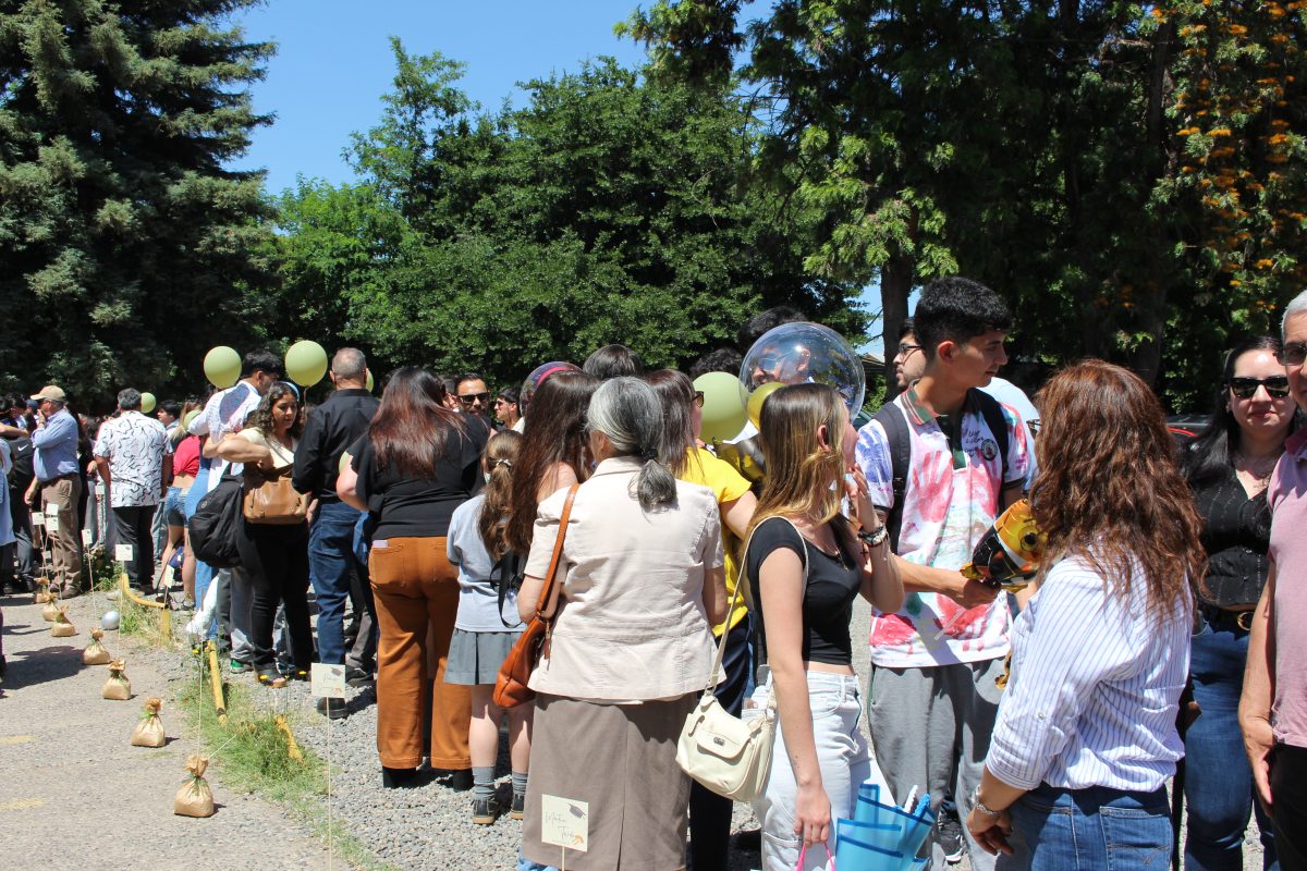 Despedida 4tos medios