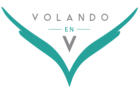 Fundación Volando en V.