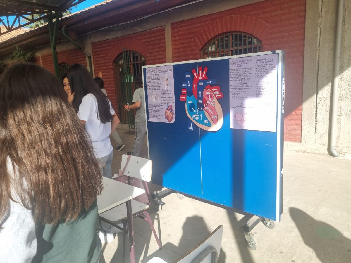 Día de la actividad física.