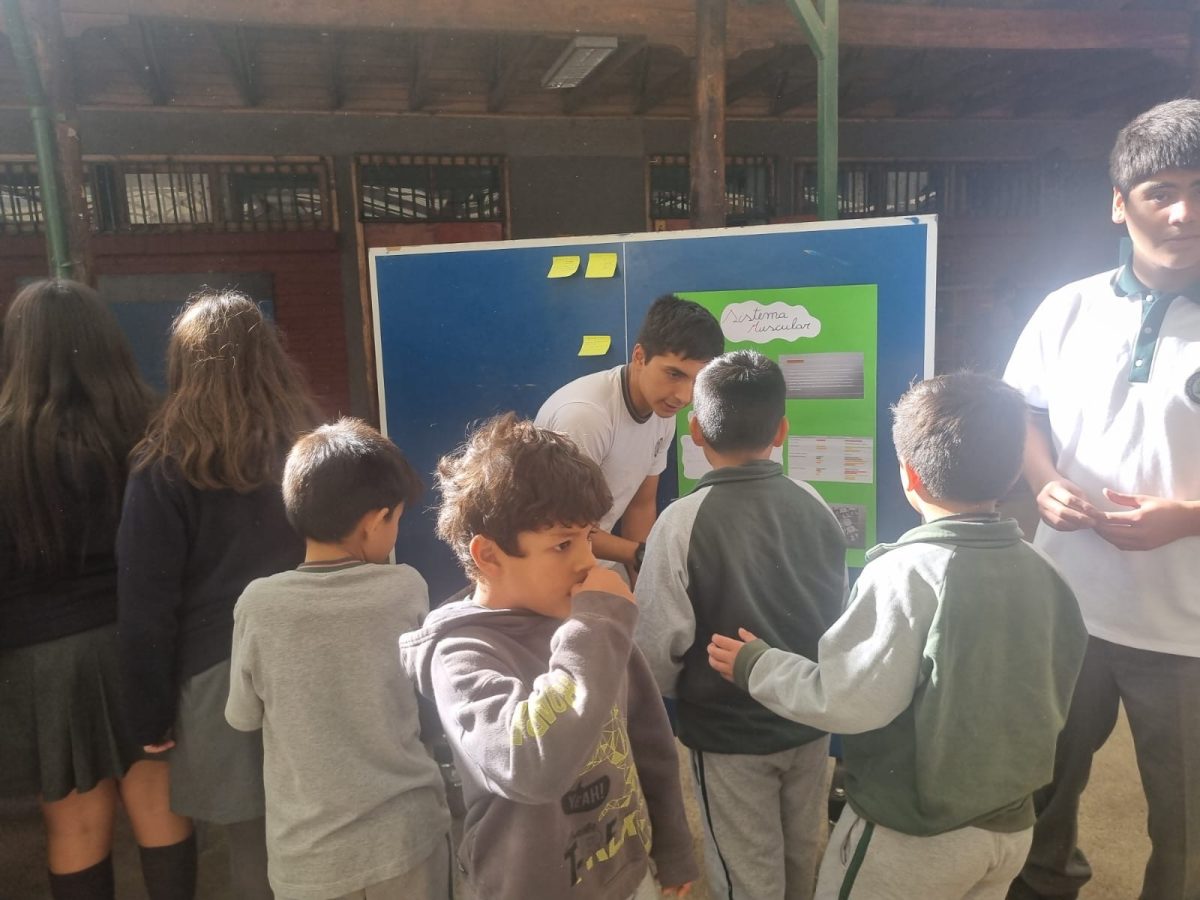 Día de la actividad física.