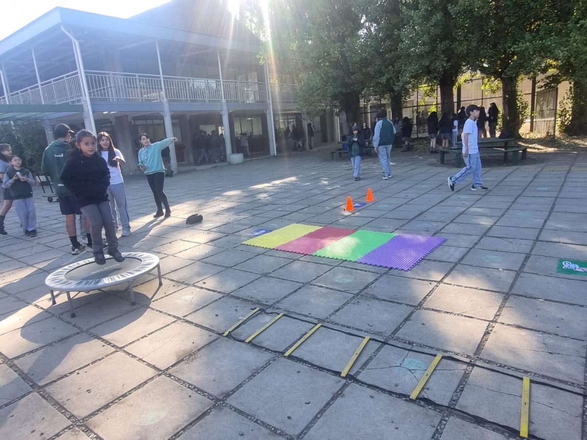 Día de la actividad física.
